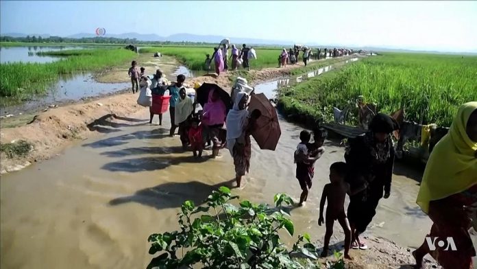 Rohingya refugees entering Bangladesh