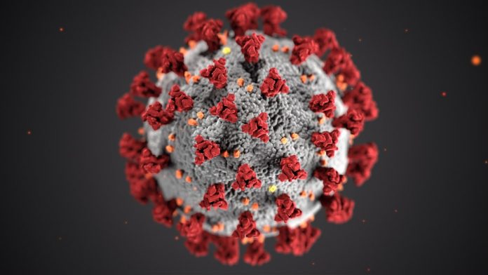 Coronavirus illustration by CDC